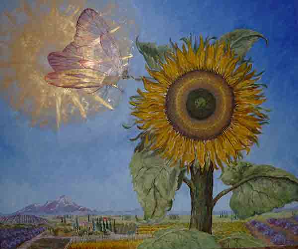 The Sun the Fly and the Sunflower